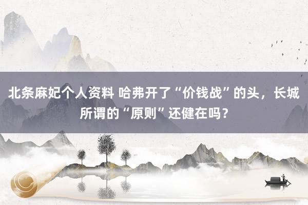 北条麻妃个人资料 哈弗开了“价钱战”的头，长城所谓的“原则”还健在吗？