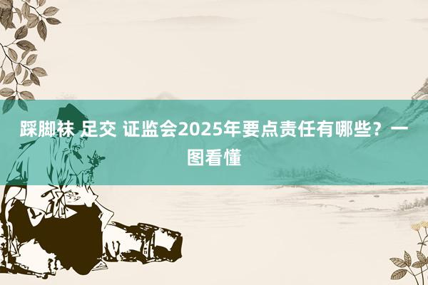 踩脚袜 足交 证监会2025年要点责任有哪些？一图看懂