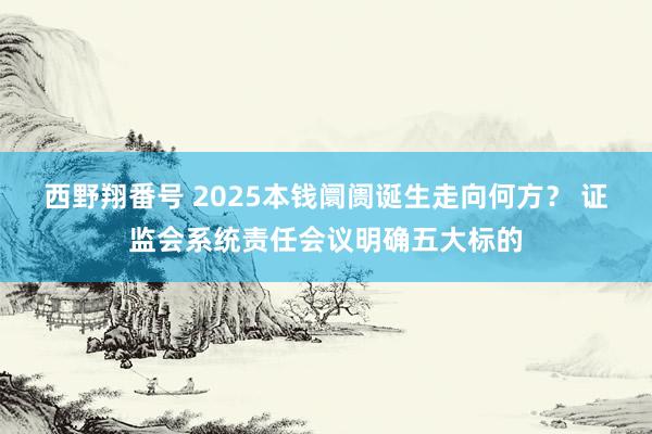 西野翔番号 2025本钱阛阓诞生走向何方？ 证监会系统责任会议明确五大标的