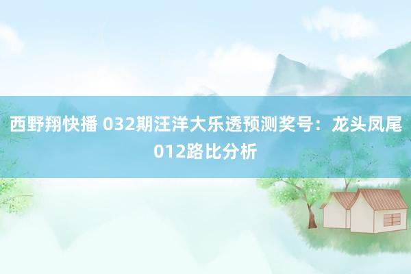 西野翔快播 032期汪洋大乐透预测奖号：龙头凤尾012路比分析