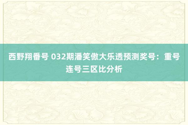 西野翔番号 032期潘笑傲大乐透预测奖号：重号连号三区比分析