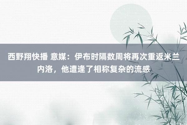 西野翔快播 意媒：伊布时隔数周将再次重返米兰内洛，他遭逢了相称复杂的流感