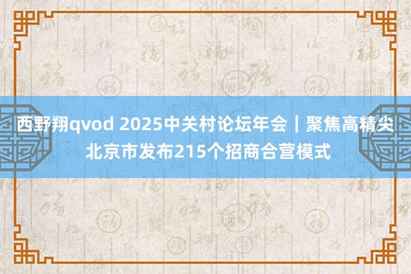 西野翔qvod 2025中关村论坛年会｜聚焦高精尖 北京市发布215个招商合营模式