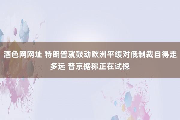 酒色网网址 特朗普就鼓动欧洲平缓对俄制裁自得走多远 普京据称正在试探