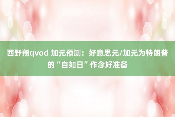 西野翔qvod 加元预测：好意思元/加元为特朗普的“自如日”作念好准备