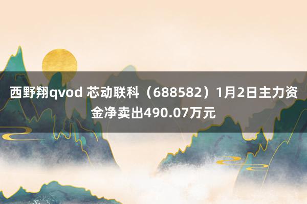 西野翔qvod 芯动联科（688582）1月2日主力资金净卖出490.07万元