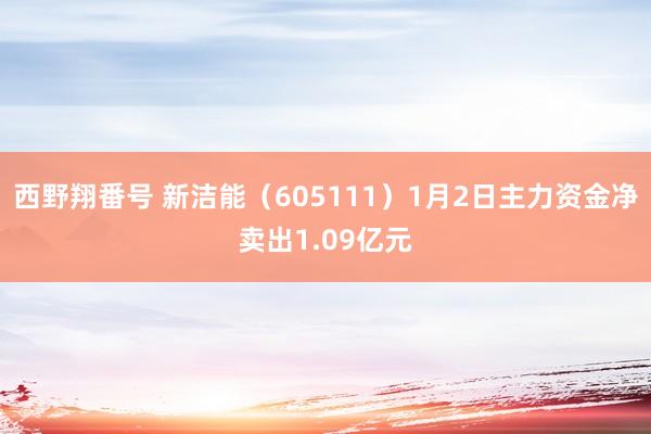 西野翔番号 新洁能（605111）1月2日主力资金净卖出1.09亿元
