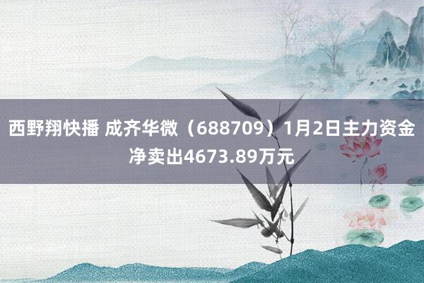 西野翔快播 成齐华微（688709）1月2日主力资金净卖出4673.89万元