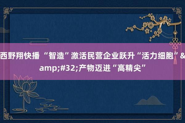 西野翔快播 “智造”激活民营企业跃升“活力细胞”&#32;产物迈进“高精尖”