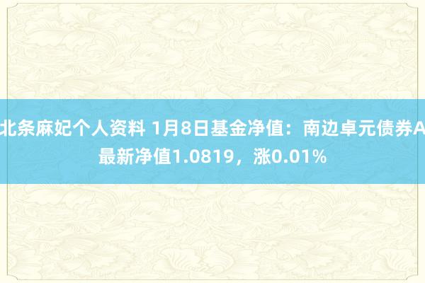 北条麻妃个人资料 1月8日基金净值：南边卓元债券A最新净值1.0819，涨0.01%