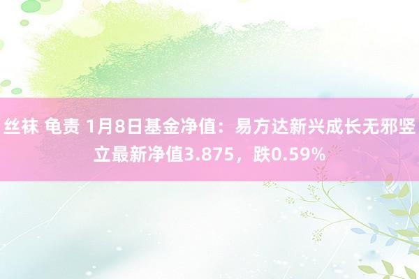 丝袜 龟责 1月8日基金净值：易方达新兴成长无邪竖立最新净值3.875，跌0.59%