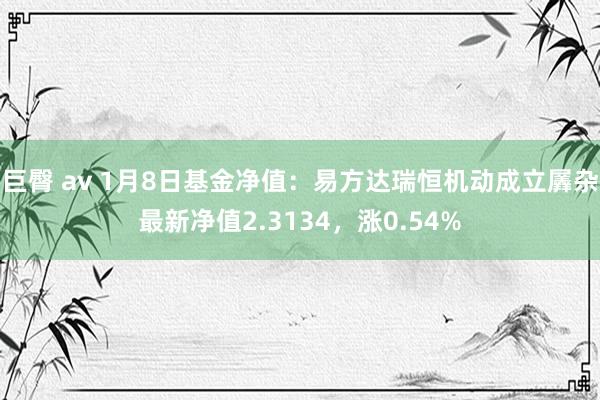 巨臀 av 1月8日基金净值：易方达瑞恒机动成立羼杂最新净值2.3134，涨0.54%