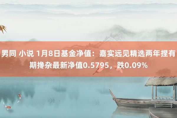 男同 小说 1月8日基金净值：嘉实远见精选两年捏有期搀杂最新净值0.5795，跌0.09%