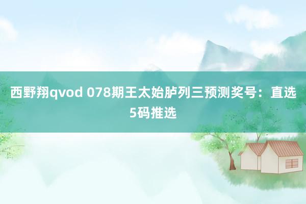 西野翔qvod 078期王太始胪列三预测奖号：直选5码推选