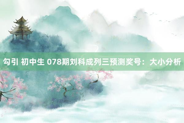 勾引 初中生 078期刘科成列三预测奖号：大小分析