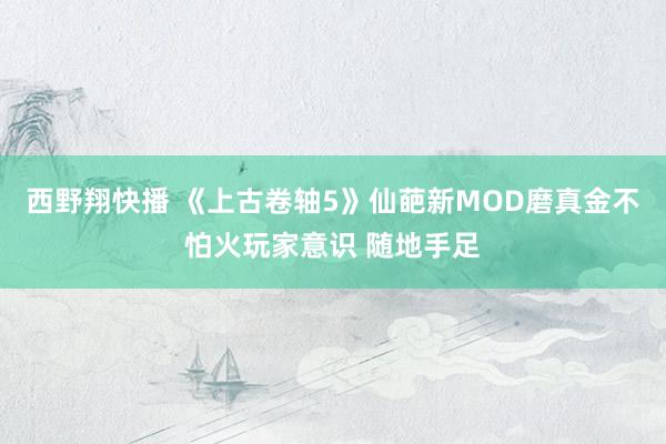 西野翔快播 《上古卷轴5》仙葩新MOD磨真金不怕火玩家意识 随地手足