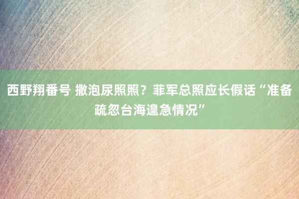 西野翔番号 撒泡尿照照？菲军总照应长假话“准备疏忽台海遑急情况”