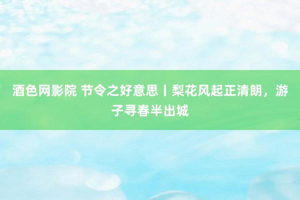 酒色网影院 节令之好意思丨梨花风起正清朗，游子寻春半出城