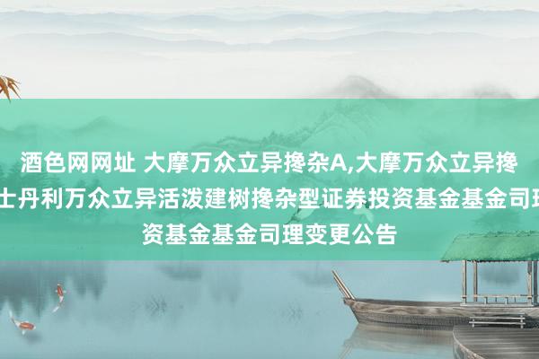 酒色网网址 大摩万众立异搀杂A,大摩万众立异搀杂C: 摩根士丹利万众立异活泼建树搀杂型证券投资基金基金司理变更公告