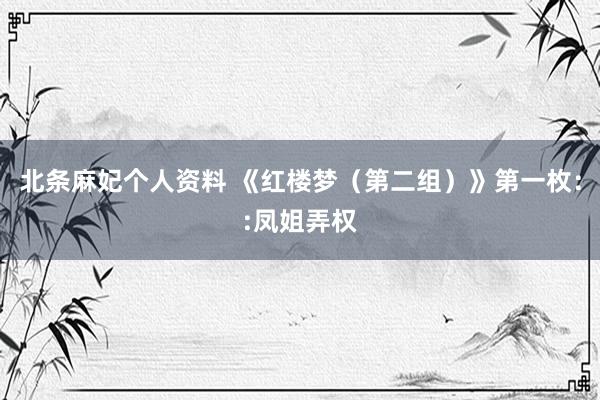 北条麻妃个人资料 《红楼梦（第二组）》第一枚：:凤姐弄权