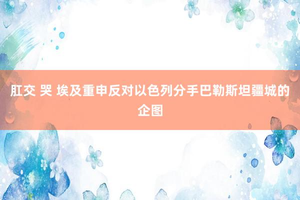 肛交 哭 埃及重申反对以色列分手巴勒斯坦疆城的企图