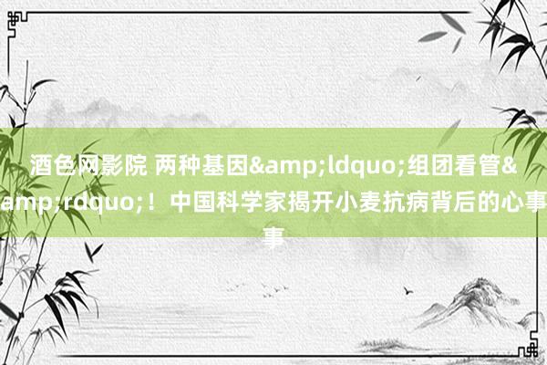 酒色网影院 两种基因&ldquo;组团看管&rdquo;！中国科学家揭开小麦抗病背后的心事