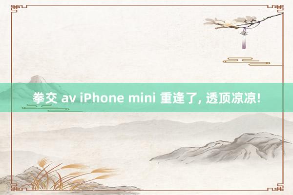 拳交 av iPhone mini 重逢了， 透顶凉凉!