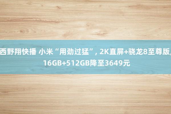 西野翔快播 小米“用劲过猛”， 2K直屏+骁龙8至尊版， 16GB+512GB降至3649元