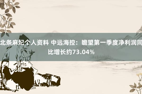 北条麻妃个人资料 中远海控：瞻望第一季度净利润同比增长约73.04%