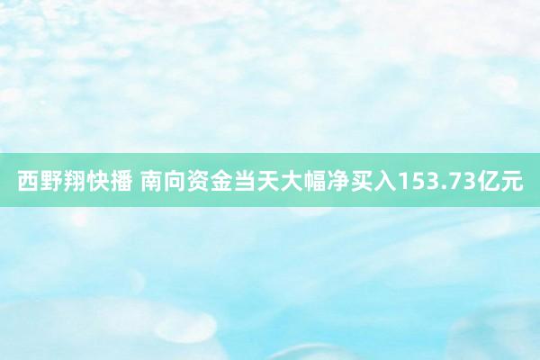 西野翔快播 南向资金当天大幅净买入153.73亿元
