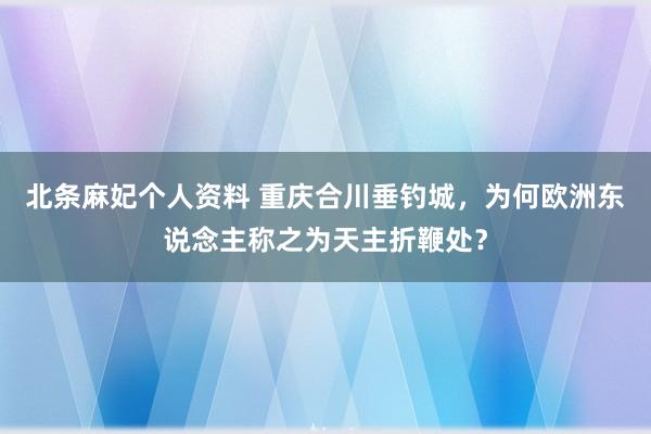 北条麻妃个人资料 重庆合川垂钓城，为何欧洲东说念主称之为天主折鞭处？