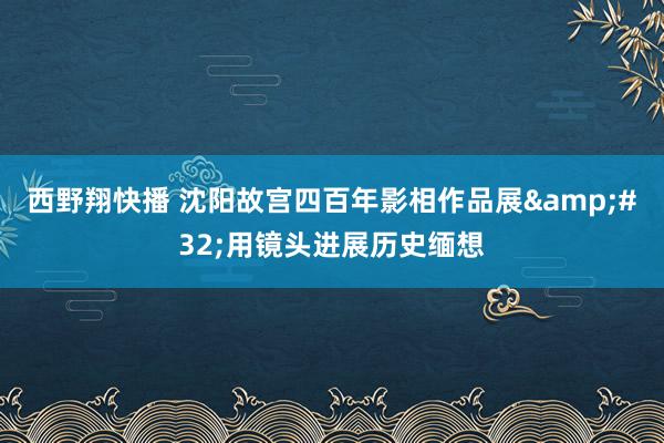 西野翔快播 沈阳故宫四百年影相作品展&#32;用镜头进展历史缅想