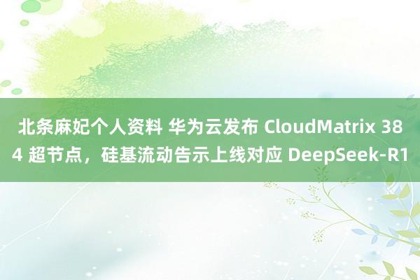 北条麻妃个人资料 华为云发布 CloudMatrix 384 超节点，硅基流动告示上线对应 DeepSeek-R1