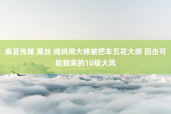 麻豆传媒 黑丝 姆妈用大棉被把车五花大绑 回击可能到来的10级大风