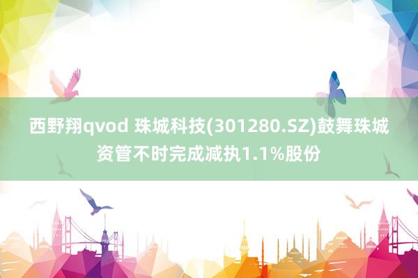 西野翔qvod 珠城科技(301280.SZ)鼓舞珠城资管不时完成减执1.1%股份