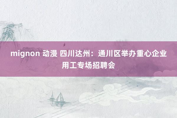 mignon 动漫 四川达州：通川区举办重心企业用工专场招聘会