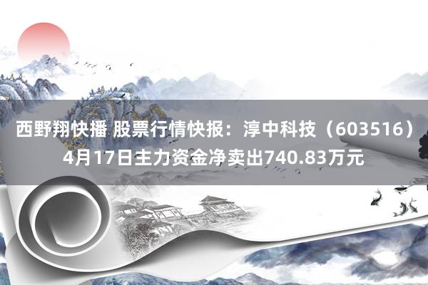 西野翔快播 股票行情快报：淳中科技（603516）4月17日主力资金净卖出740.83万元