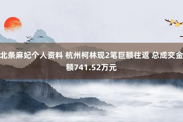 北条麻妃个人资料 杭州柯林现2笔巨额往返 总成交金额741.52万元