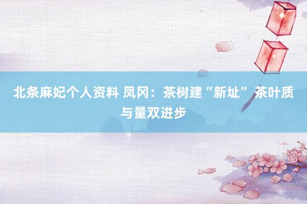 北条麻妃个人资料 凤冈：茶树建“新址” 茶叶质与量双进步