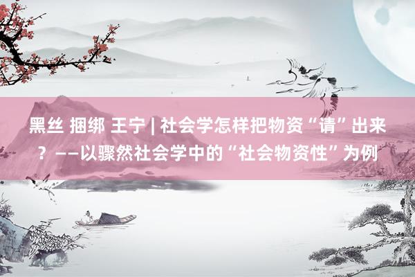 黑丝 捆绑 王宁 | 社会学怎样把物资“请”出来？——以骤然社会学中的“社会物资性”为例