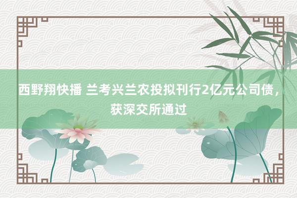 西野翔快播 兰考兴兰农投拟刊行2亿元公司债，获深交所通过