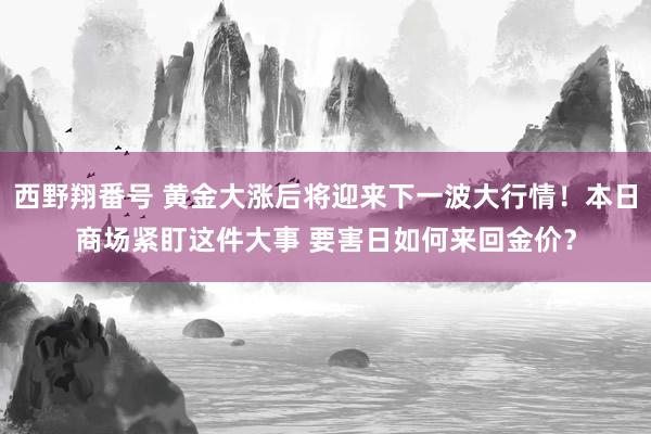 西野翔番号 黄金大涨后将迎来下一波大行情！本日商场紧盯这件大事 要害日如何来回金价？
