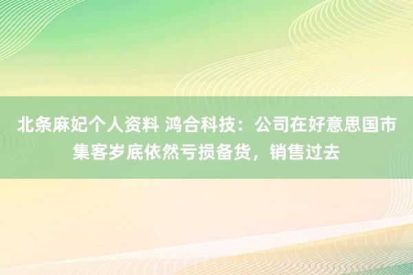 北条麻妃个人资料 鸿合科技：公司在好意思国市集客岁底依然亏损备货，销售过去