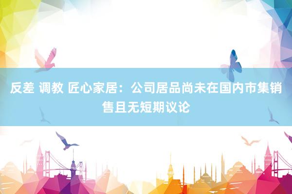 反差 调教 匠心家居：公司居品尚未在国内市集销售且无短期议论
