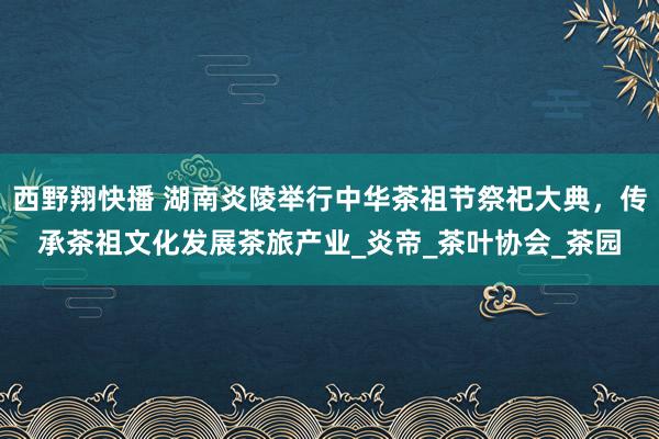 西野翔快播 湖南炎陵举行中华茶祖节祭祀大典，传承茶祖文化发展茶旅产业_炎帝_茶叶协会_茶园