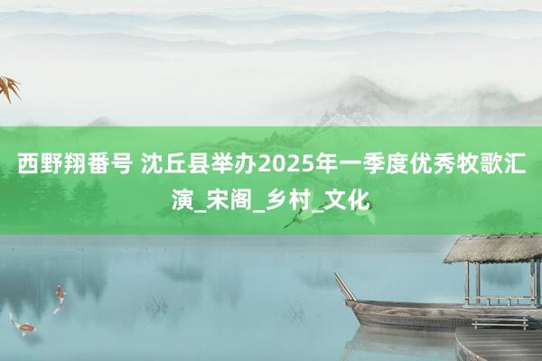 西野翔番号 沈丘县举办2025年一季度优秀牧歌汇演_宋阁_乡村_文化