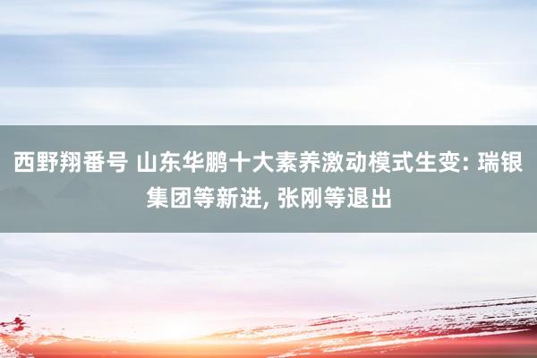 西野翔番号 山东华鹏十大素养激动模式生变: 瑞银集团等新进， 张刚等退出