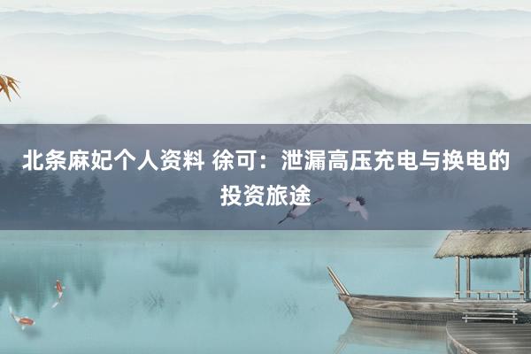北条麻妃个人资料 徐可：泄漏高压充电与换电的投资旅途