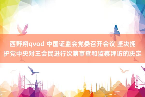 西野翔qvod 中国证监会党委召开会议 坚决拥护党中央对王会民进行次第审查和监察拜访的决定