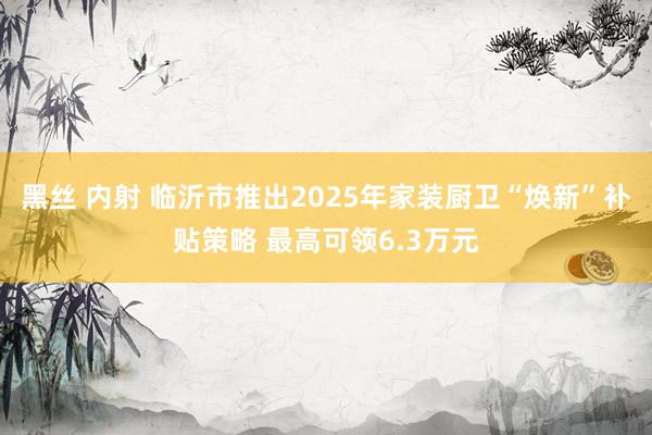 黑丝 内射 临沂市推出2025年家装厨卫“焕新”补贴策略 最高可领6.3万元